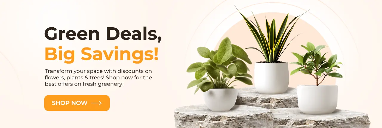 Flowers, Plants & Trees